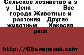 Сельское хозяйство и з/у › Цена ­ 2 500 000 - Все города Животные и растения » Другие животные   . Хакасия респ.